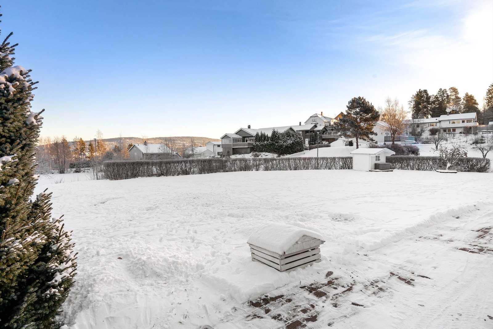 Stor og flatt hage Galleribilde