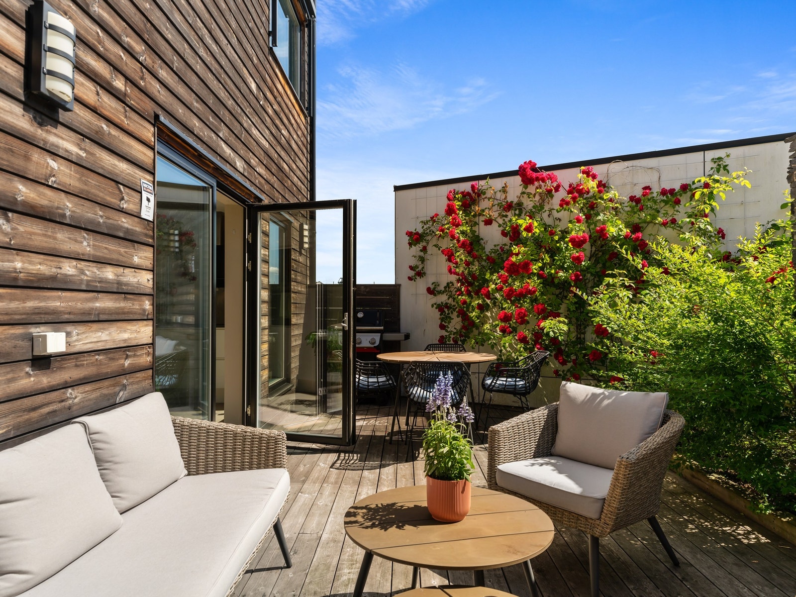 Rosebusk i full blomst gir et både fargerikt og vakkert bakteppe til terrassen. Galleribilde