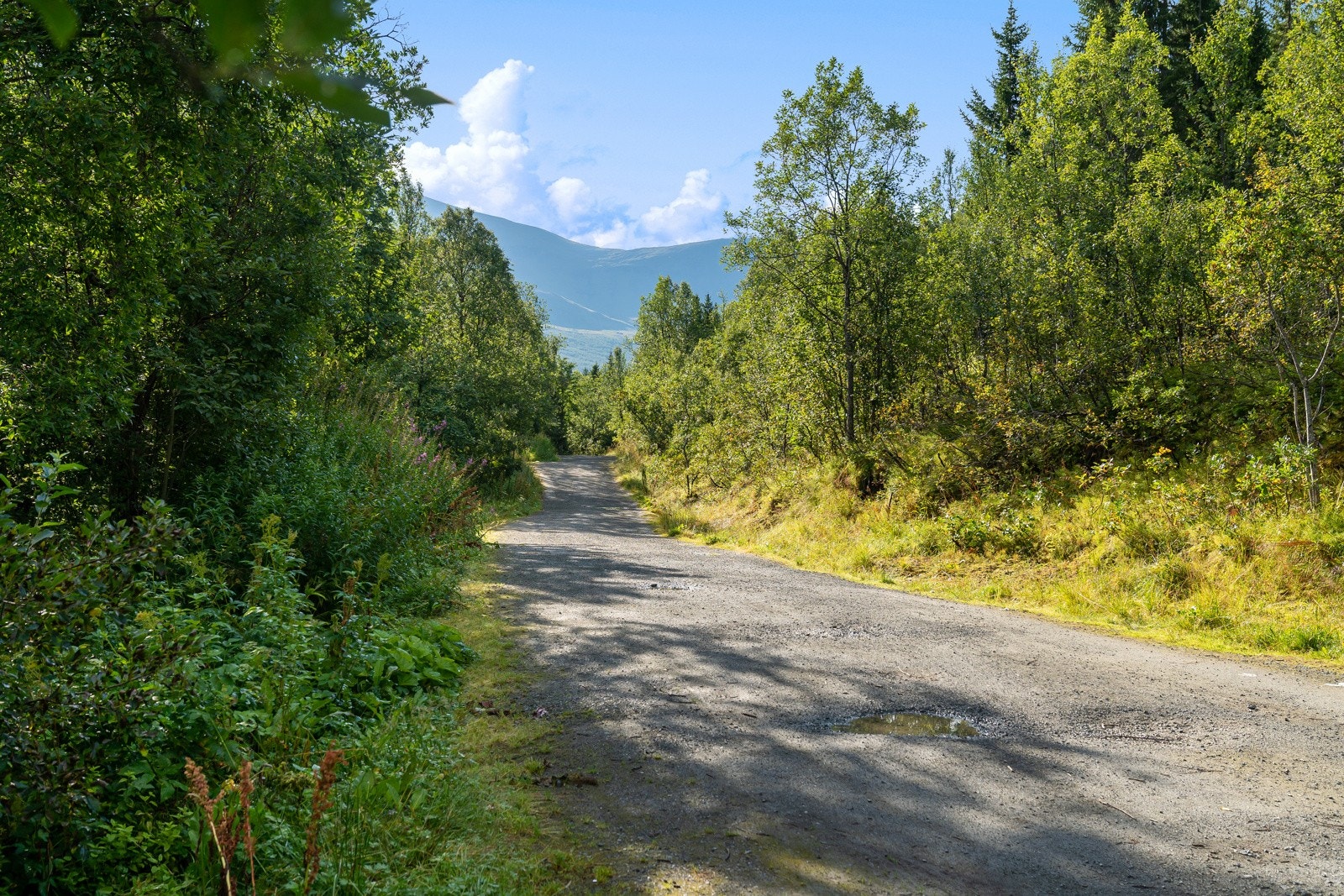 Det er også lysløype innover Tromsdalen som brukes like fint sommer som vinter.