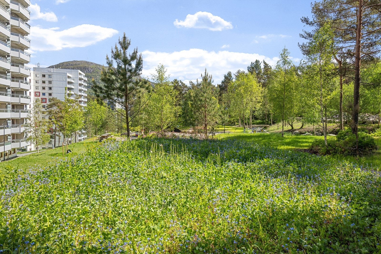 Nærhet til Kanadaskogen, Løvstakken og Damsgårdsfjellet gir fantastiske turmuligheter rett utenfor døren. Galleribilde