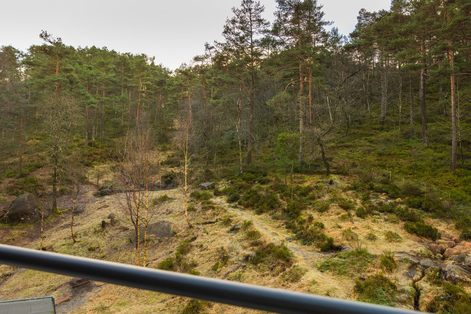 - W Eiendomsmegling Bergen - Galleribilde