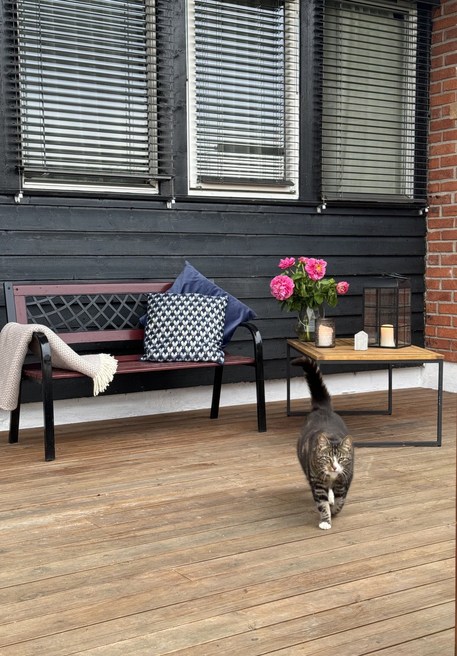 TERRASSE PÅ BAKSIDEN Galleribilde