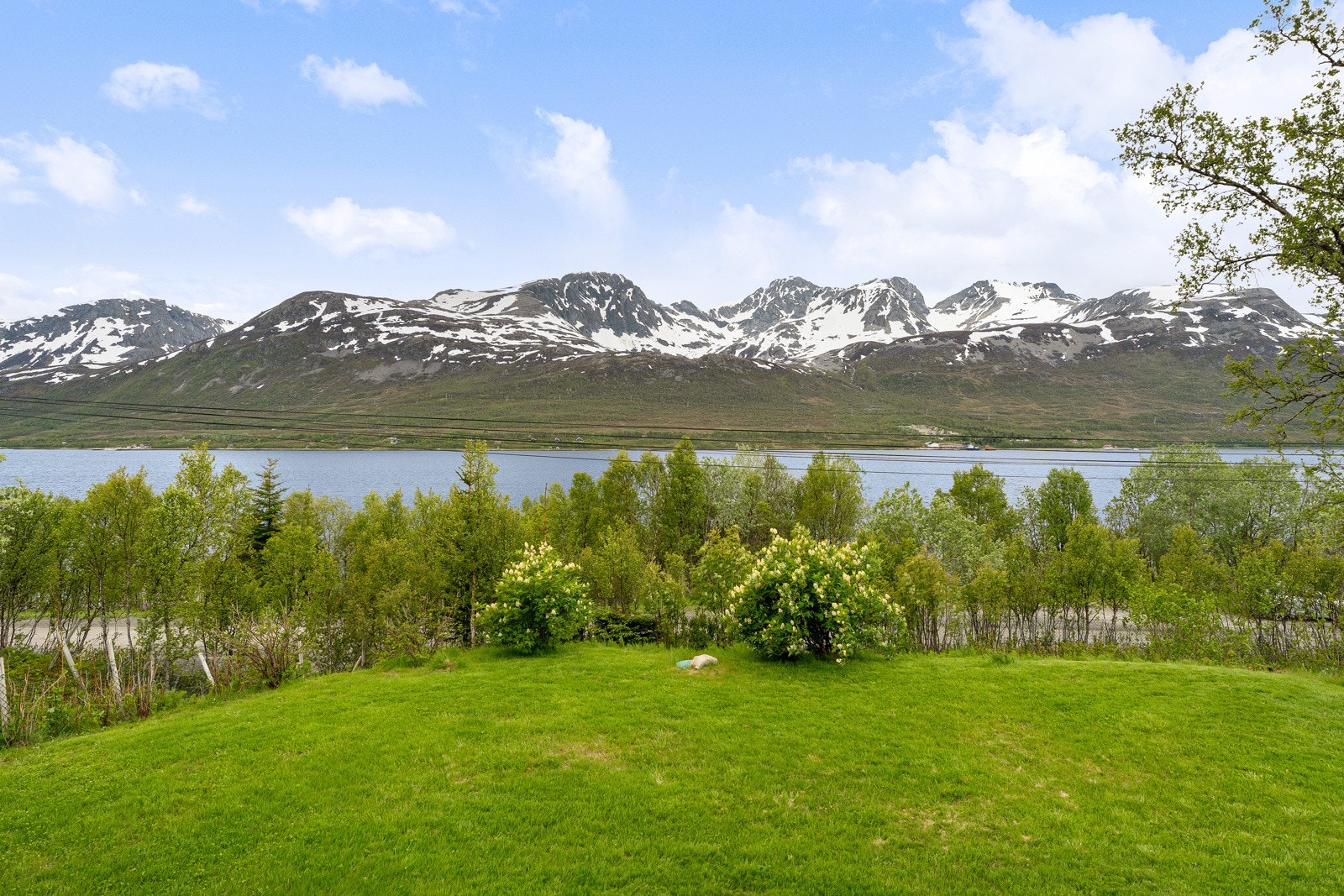 Flott plen med god plass til ungenes trampoline og fotballmål! Galleribilde