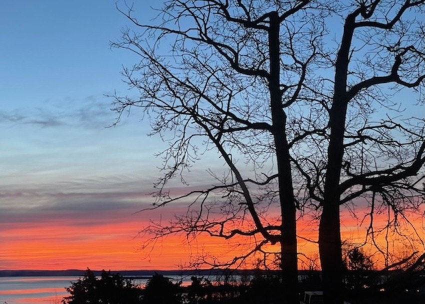 Nærområdet Galleribilde