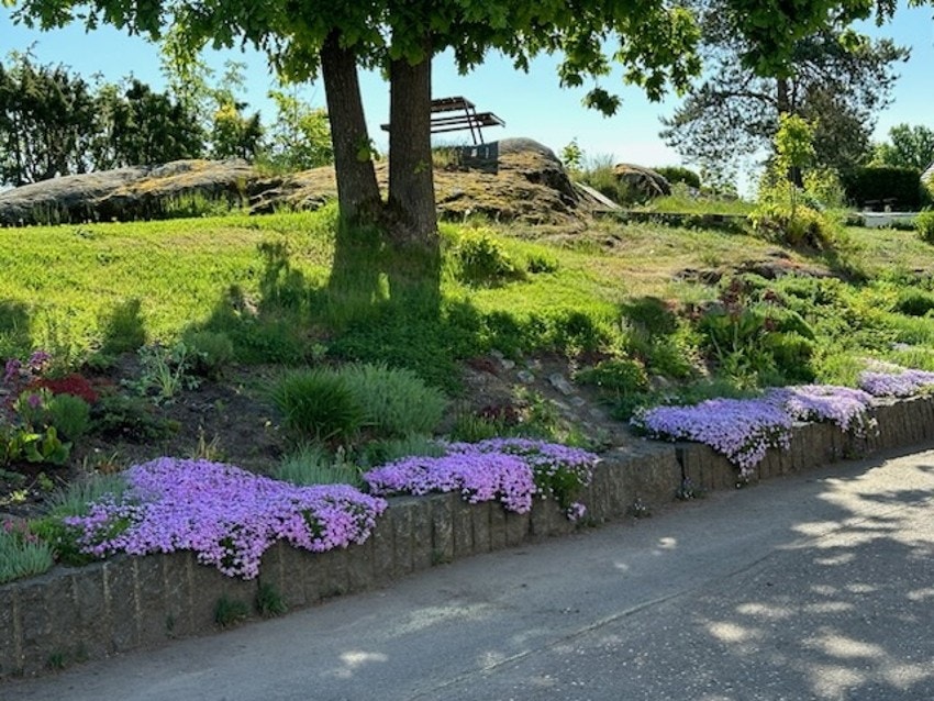 Nærområdet Galleribilde