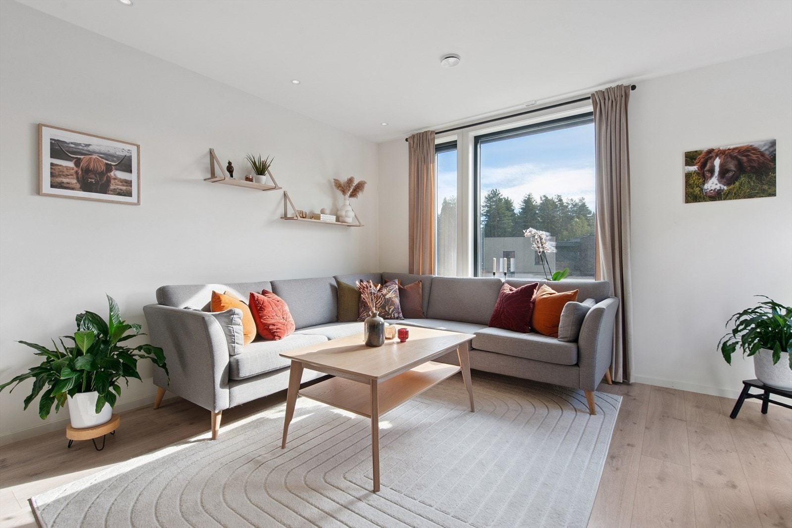 Store vindusflater med 3-lags glass slipper inn rikelig med dagslys. Galleribilde