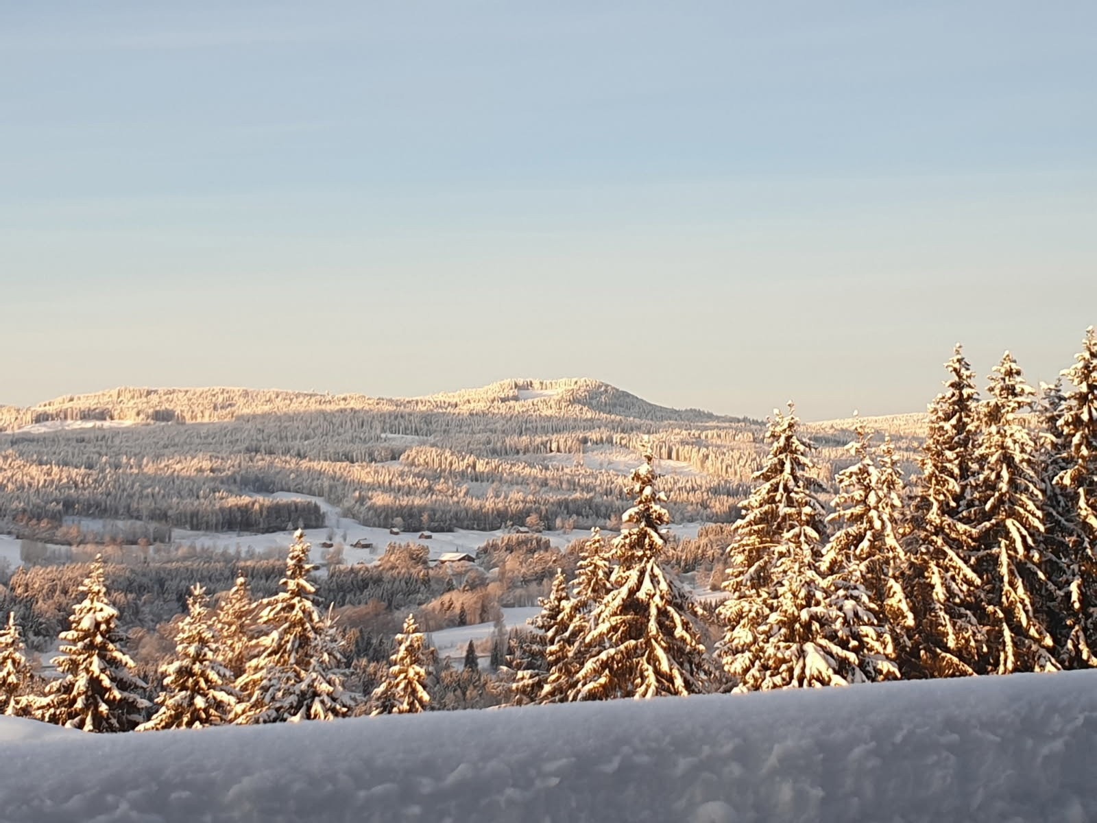 Bilder fra selger. Fra bakong. Galleribilde