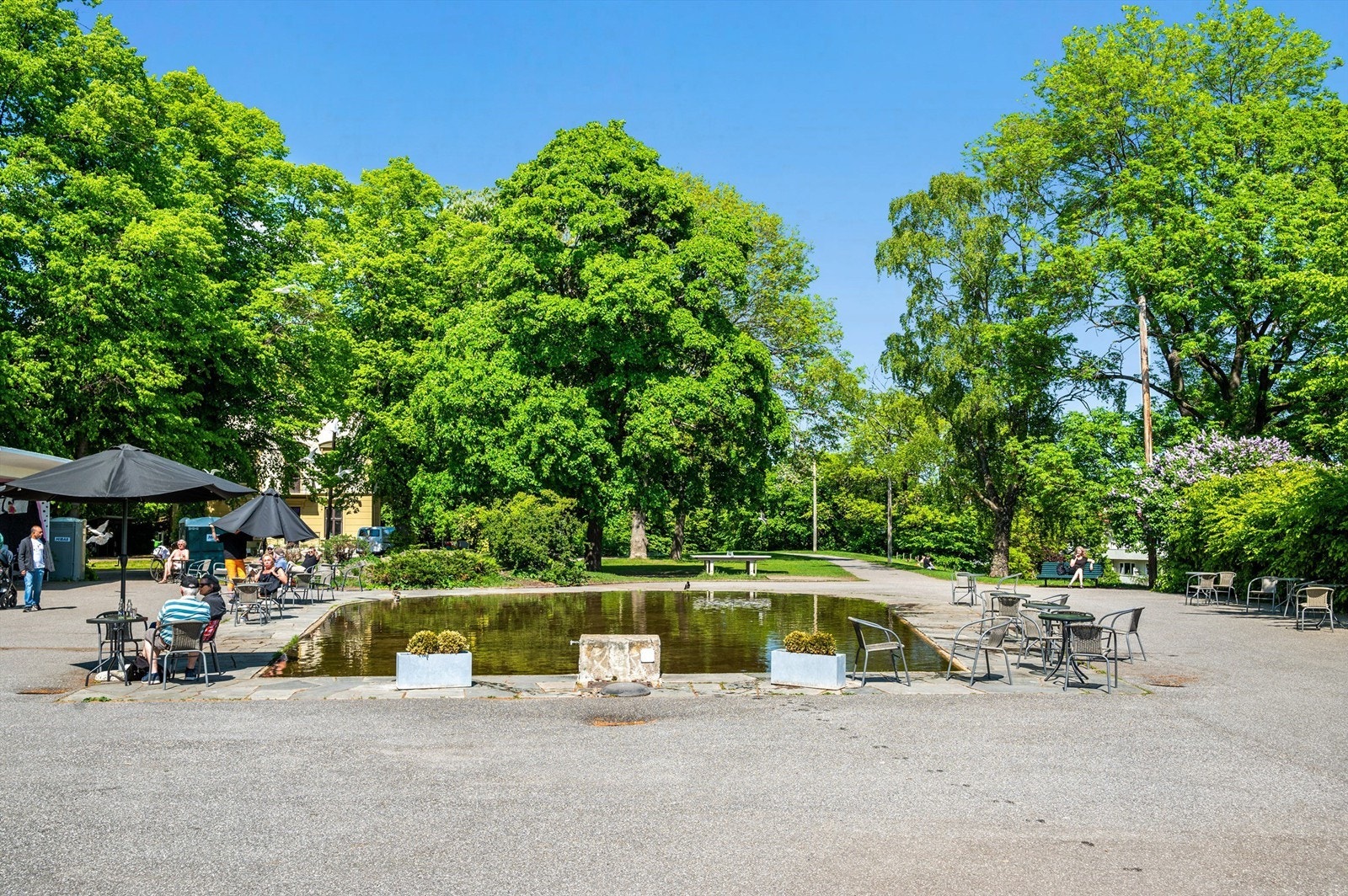 Ved vannspeilet i Stensbergparken er det servering på finværsdager! Galleribilde
