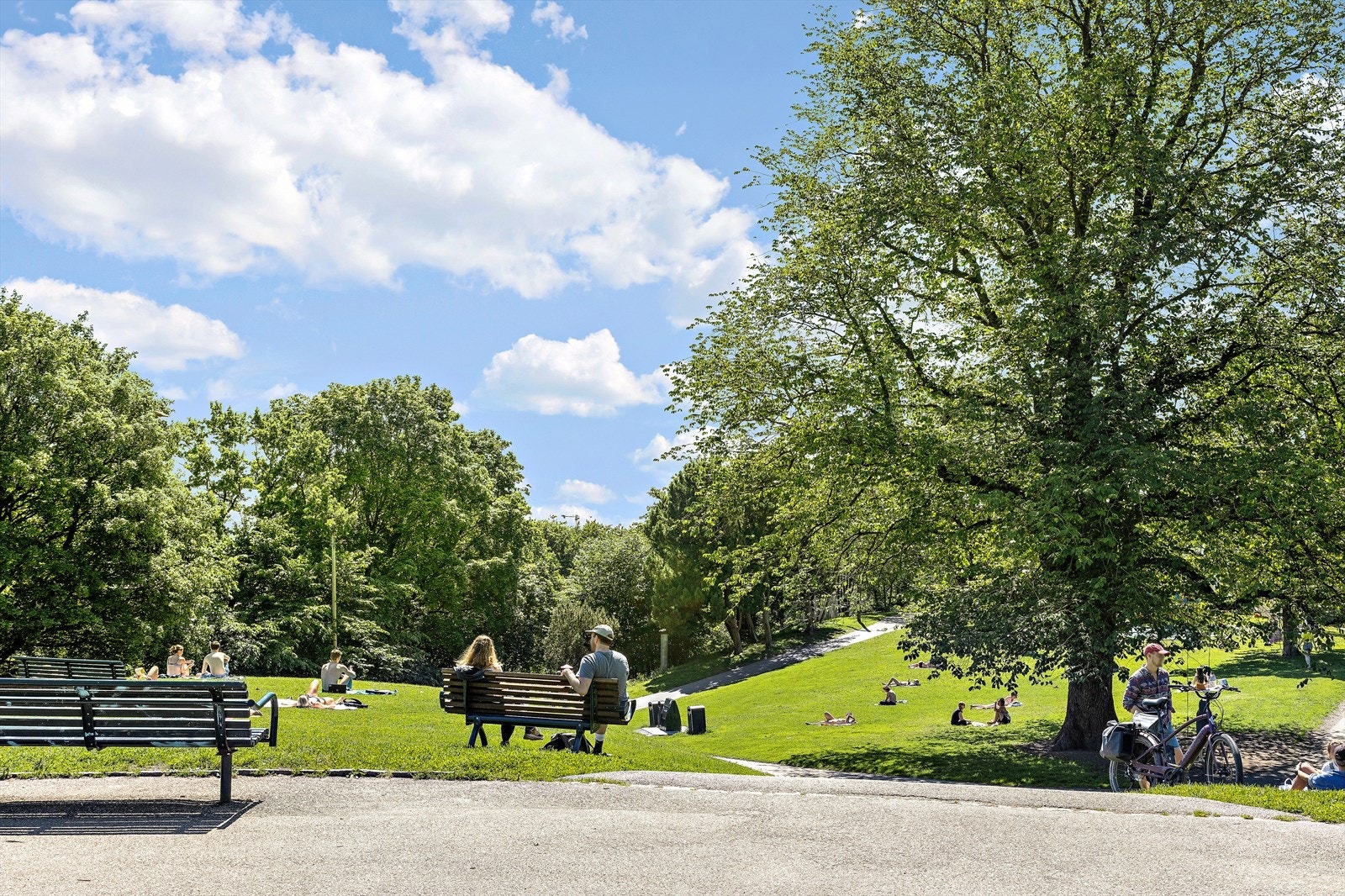 Nærområde - Stensparken Galleribilde