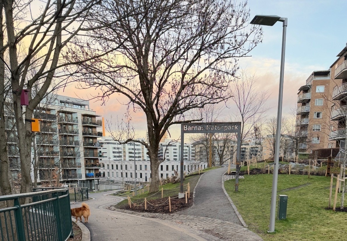 'Barnas naturpark' hvor målet er å gi barn og unge en naturopplevelse i nærmiljøet Galleribilde