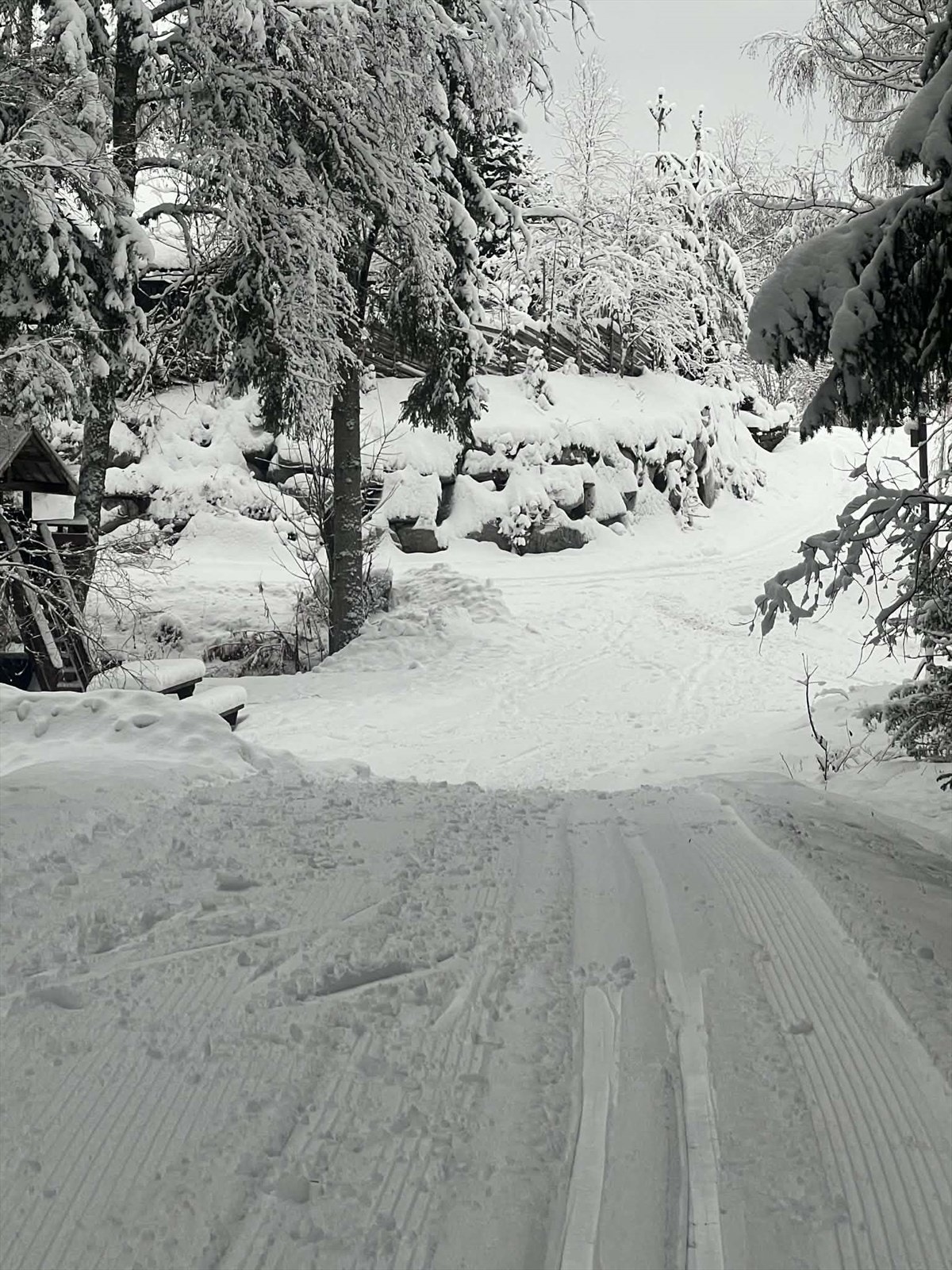 Fra eiendommen er det kun 600 meter til starten på skiløypene som tar deg inn i Østmarka. Galleribilde
