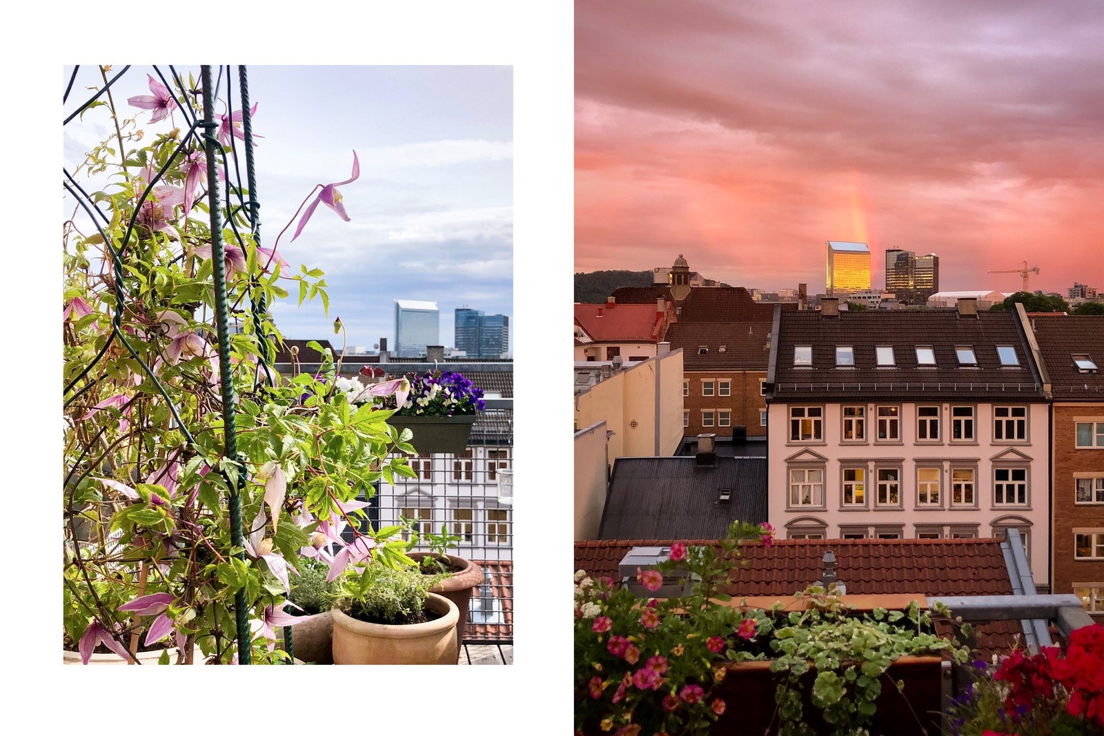 Takterrassen byr på usjenert og spektakulær utsikt over Oslo. Galleribilde