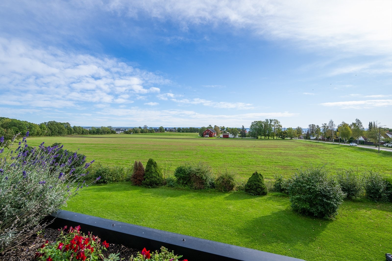 Utsikten en sommerdag. Galleribilde