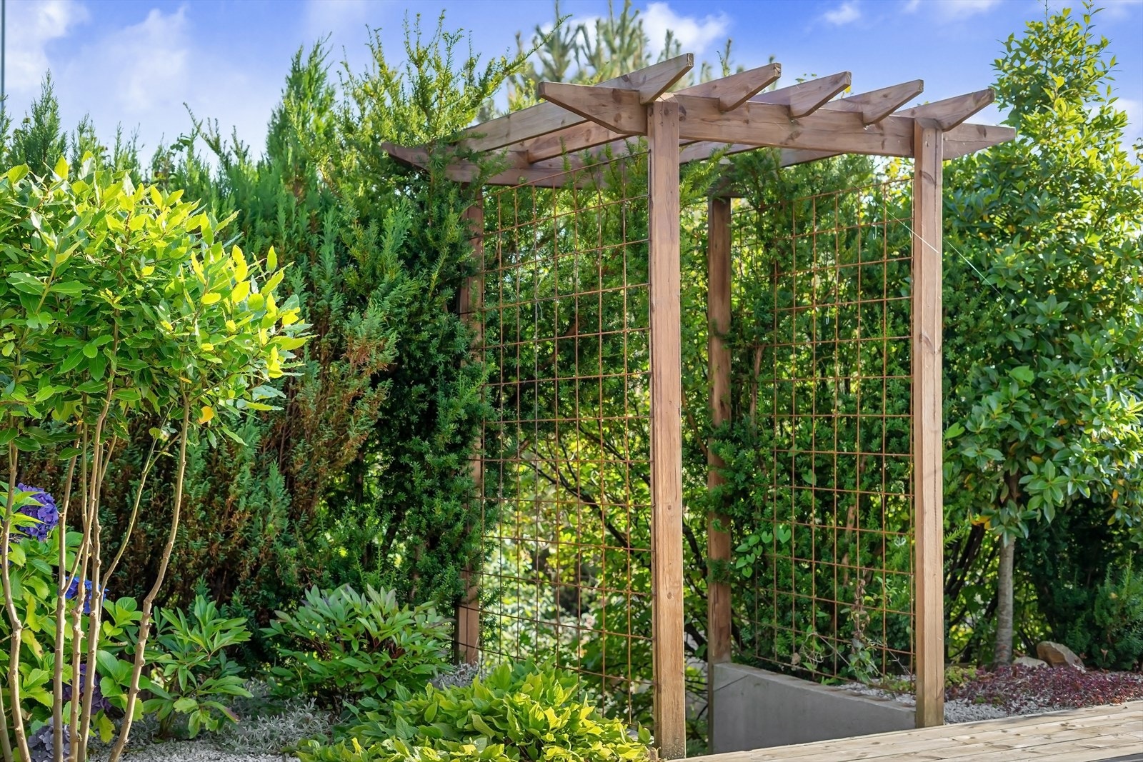 Frodig beplantning Galleribilde