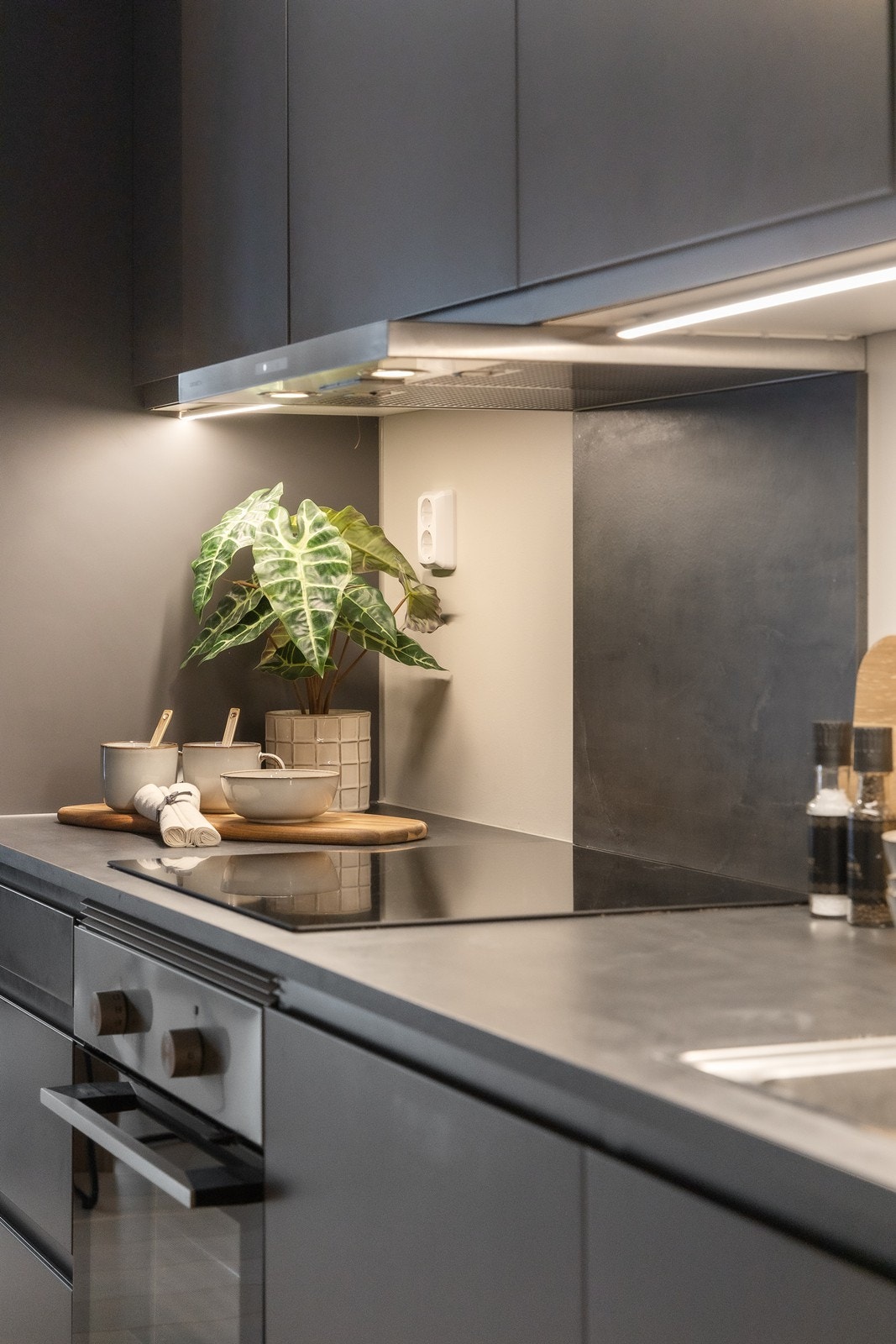 Det er sprutplater over steketopp og oppvaskkum. Galleribilde