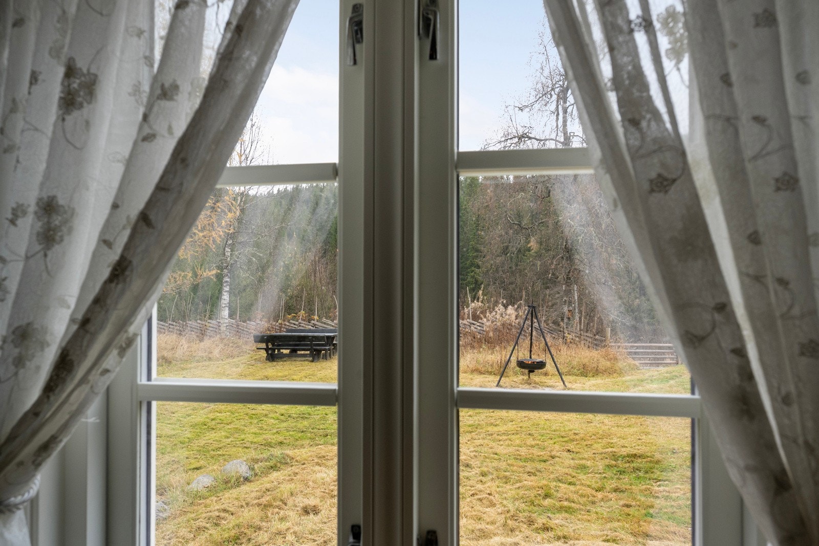 Nydelig utsikt til omgivelsene og naturen ute Galleribilde