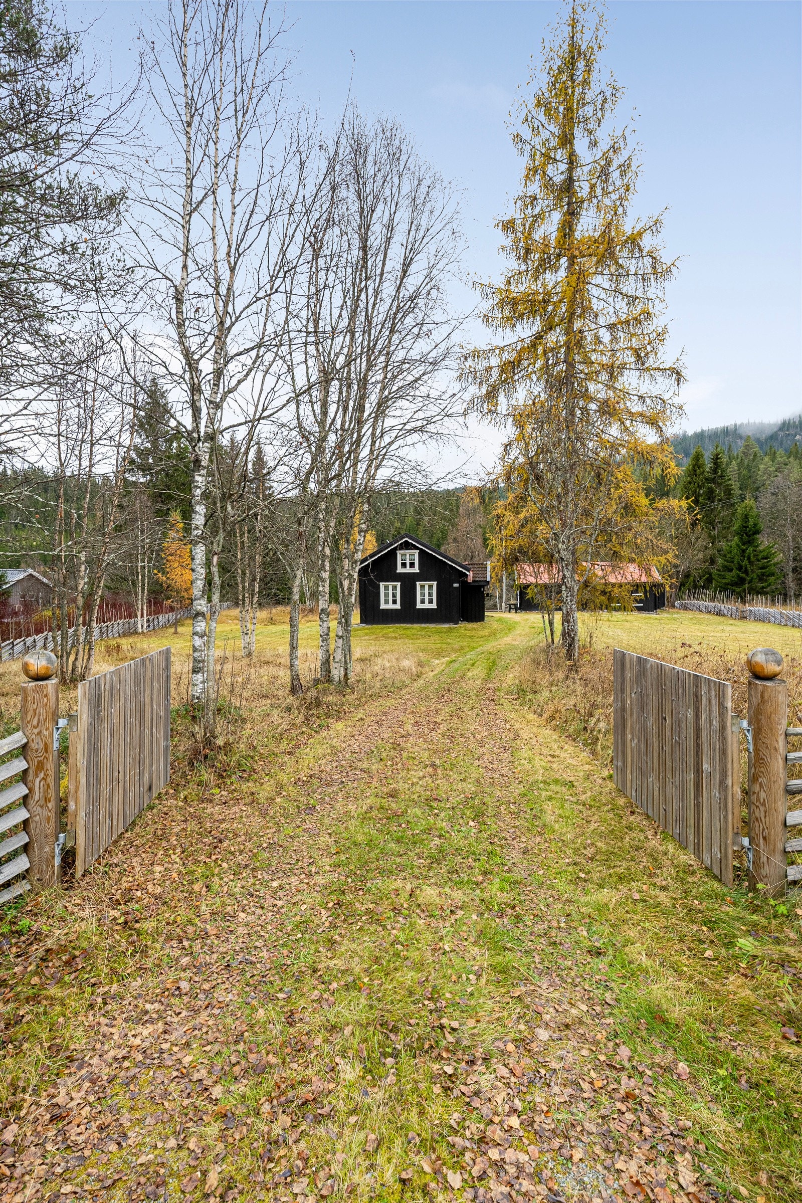 Romslig, barnevennlig tomt på ca 2,6 mål, inngjerdet med skigard (fra 2018/19) rundt hele Galleribilde