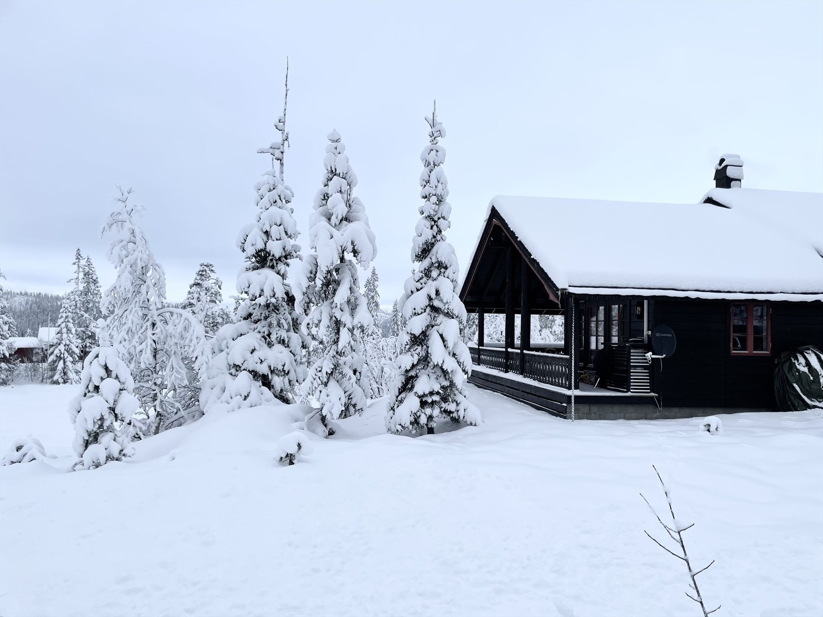 En pen hytte med usjenerte uteområder og flotte turområder rett utenfor døren. Galleribilde