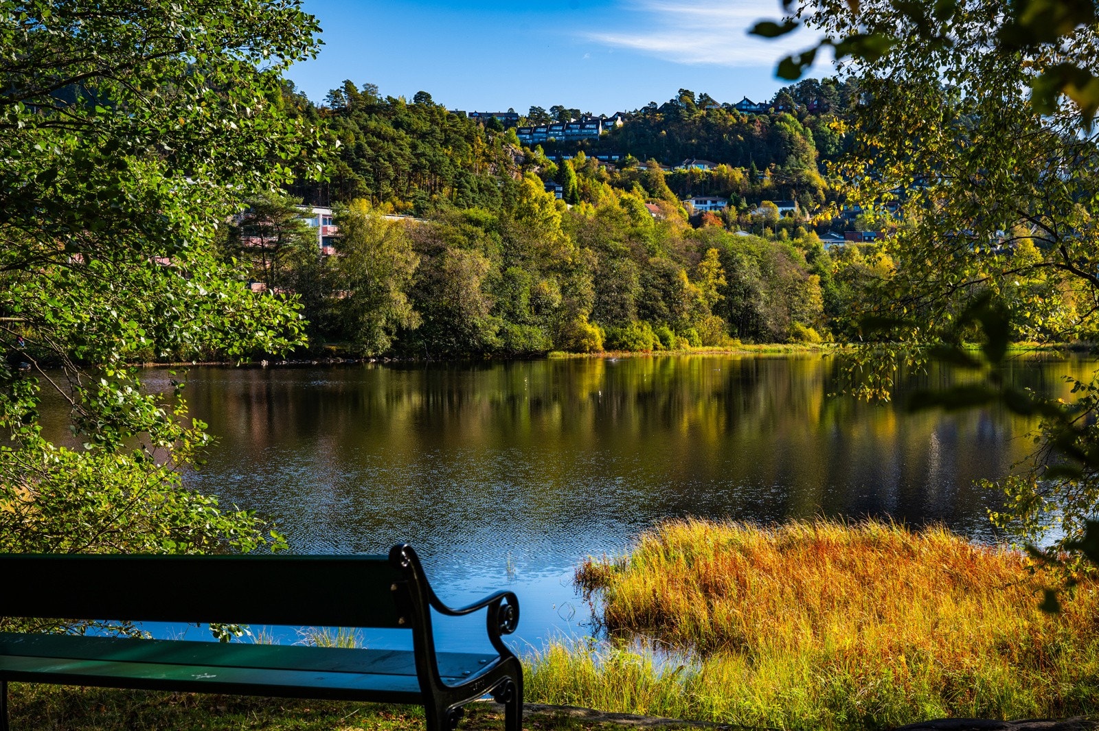 Nyt en fin gåtur rundt Ortuvannet. Galleribilde
