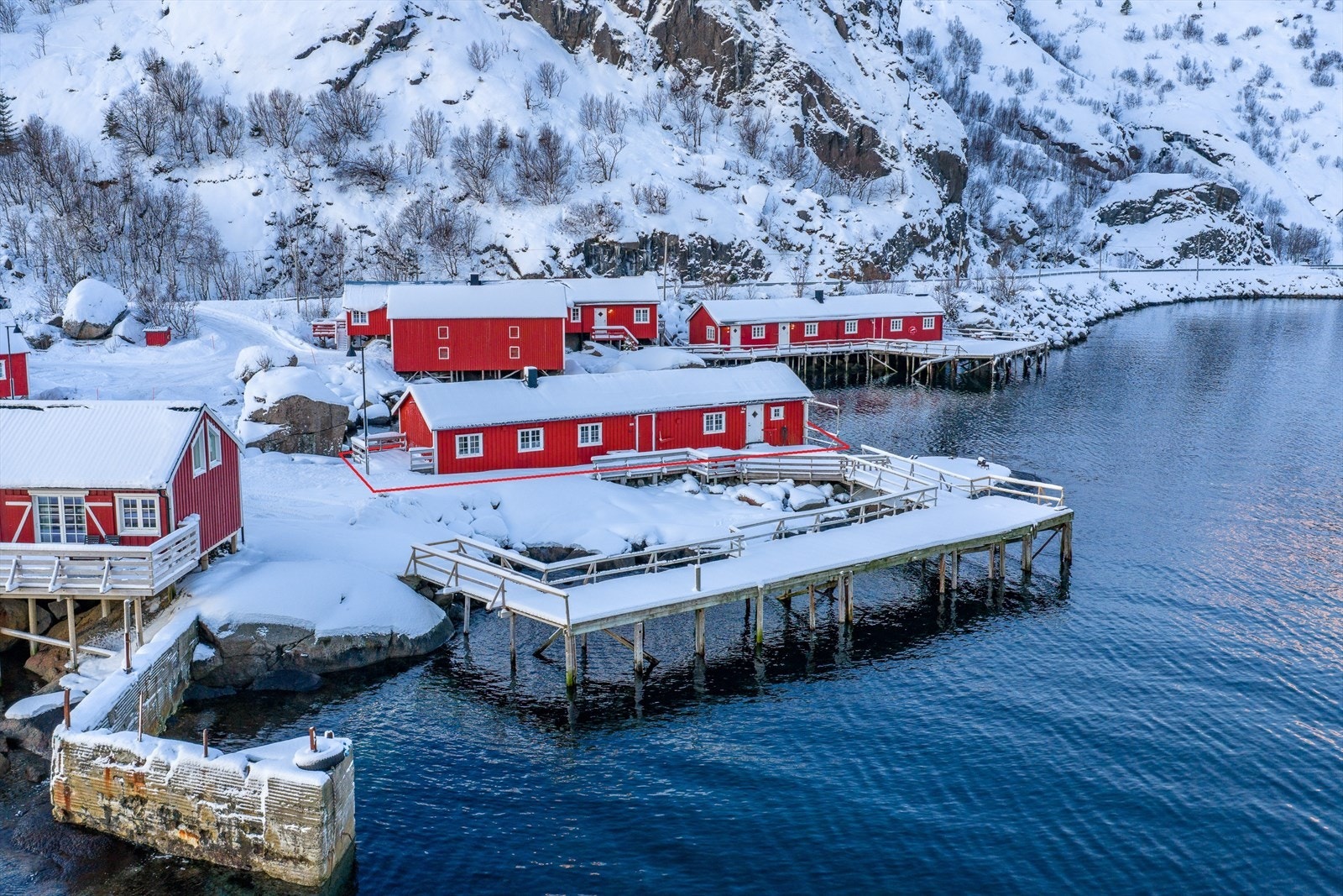 Ca. tomtegrense Galleribilde