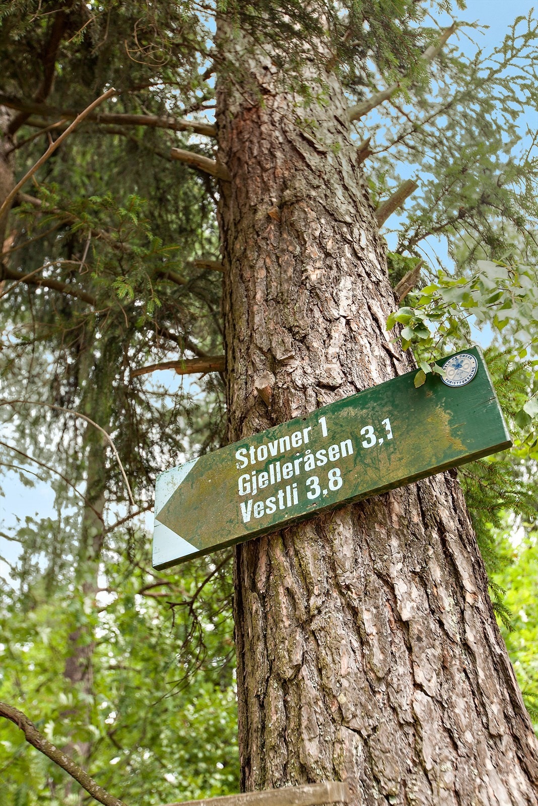 Gode turmuligheter i nærområdet. Galleribilde