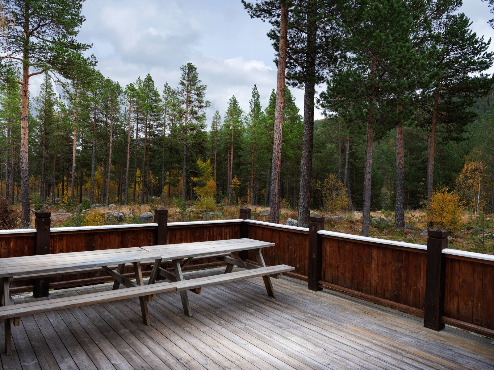 Inviter til grilling og hyggelige selskap Galleribilde