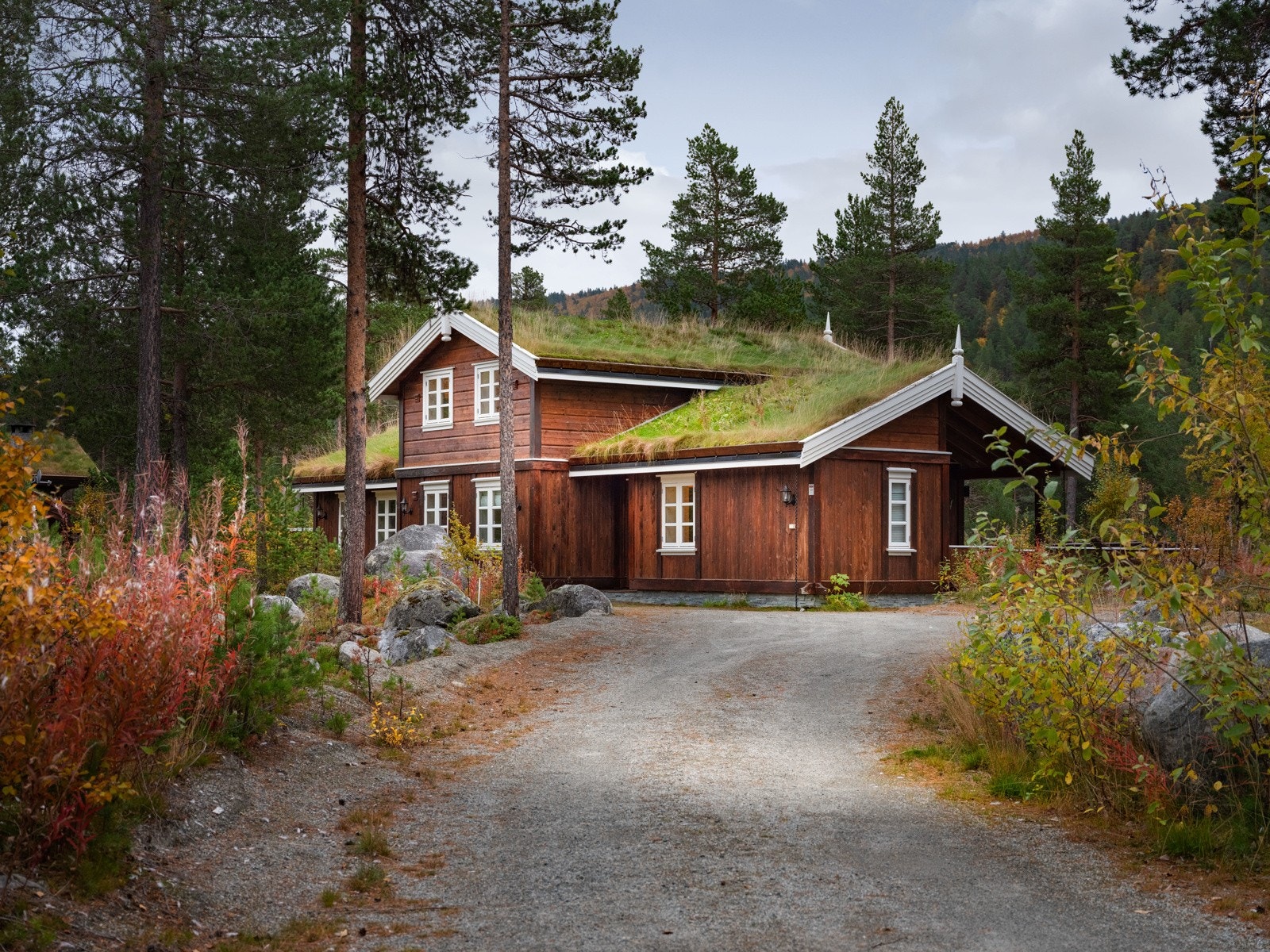 God plass til parkering utenfor hytten Galleribilde