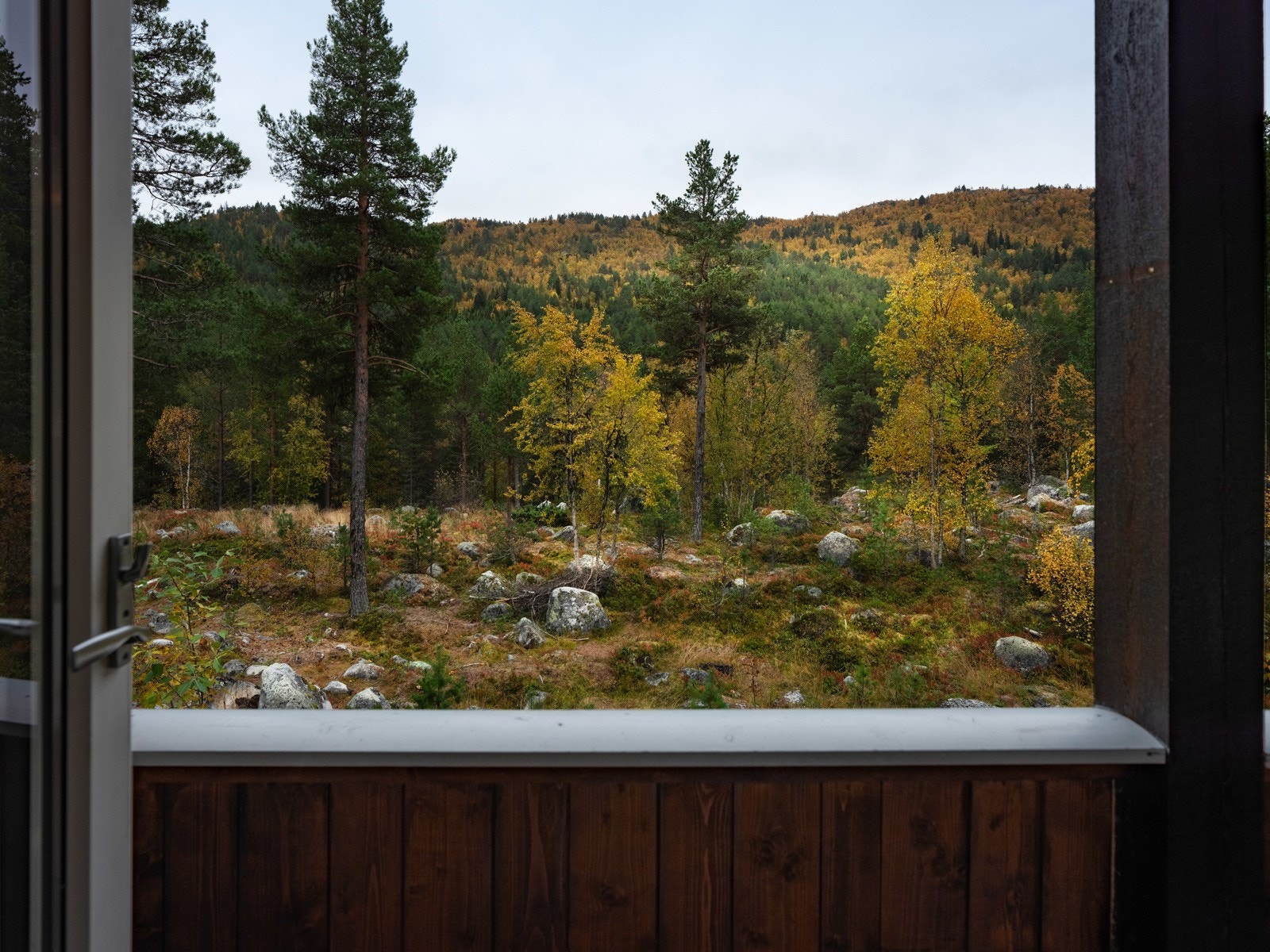 Utsikten fra hytten er rene postkortet Galleribilde