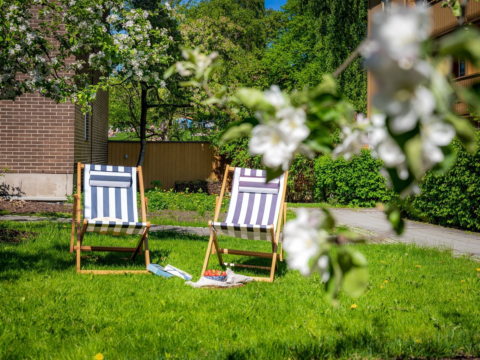 En idyllisk plass på fellesområdet for avslapning på varme dager. Galleribilde