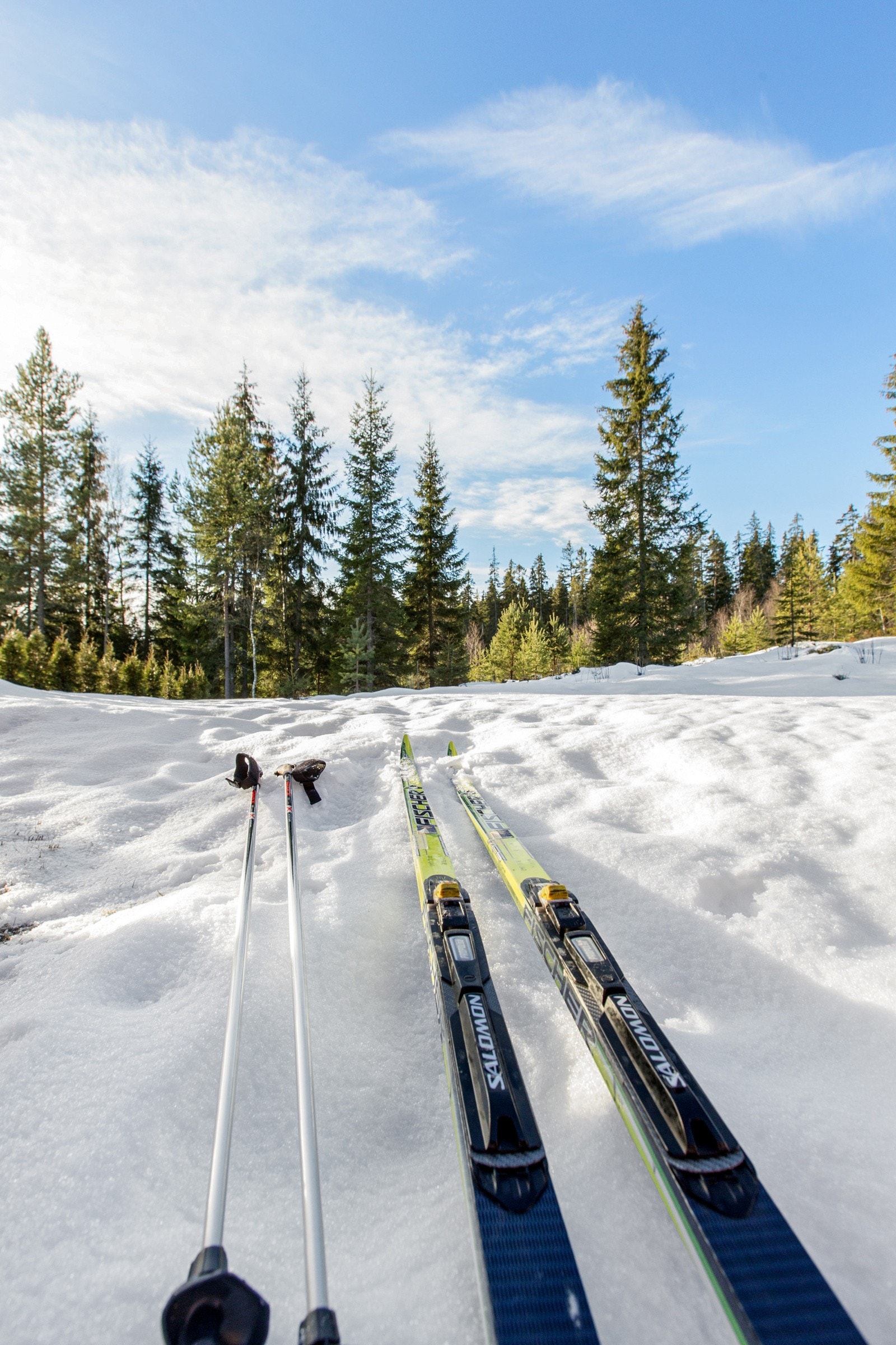 Flere turområder i eget nærmiljø. Galleribilde