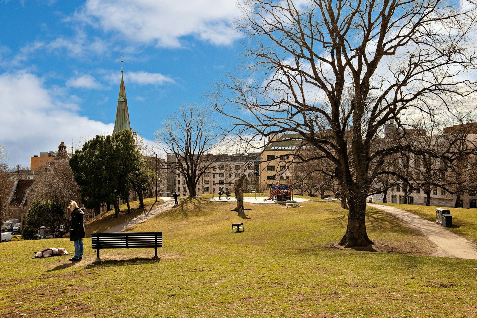 Flere parker og friområder i kort gangavstand. Galleribilde