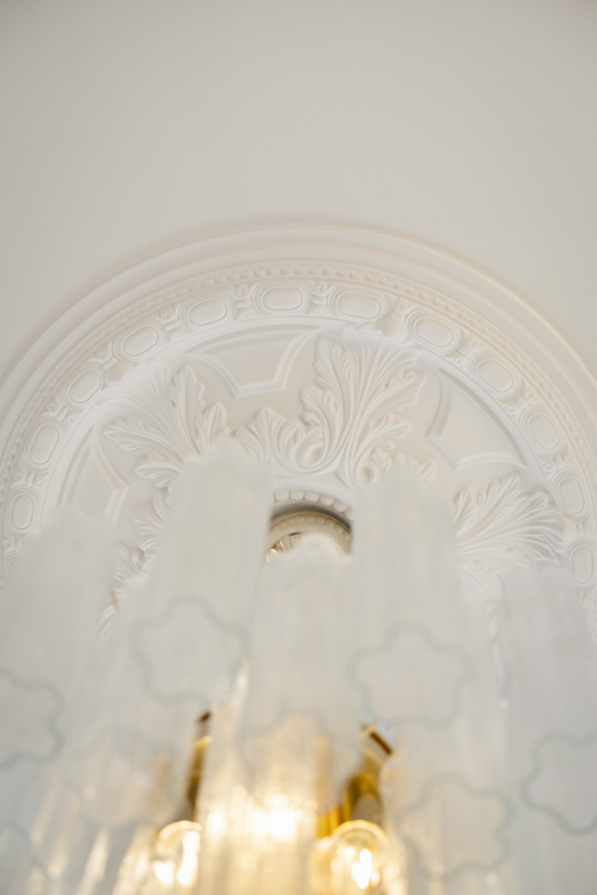 Vakker rosett i himling. Galleribilde