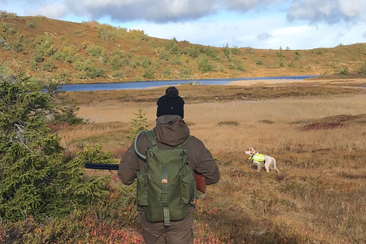 Selgers private bilde. Galleribilde