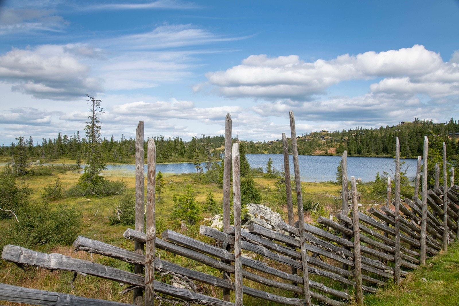 Utsikt fra hgen. Galleribilde