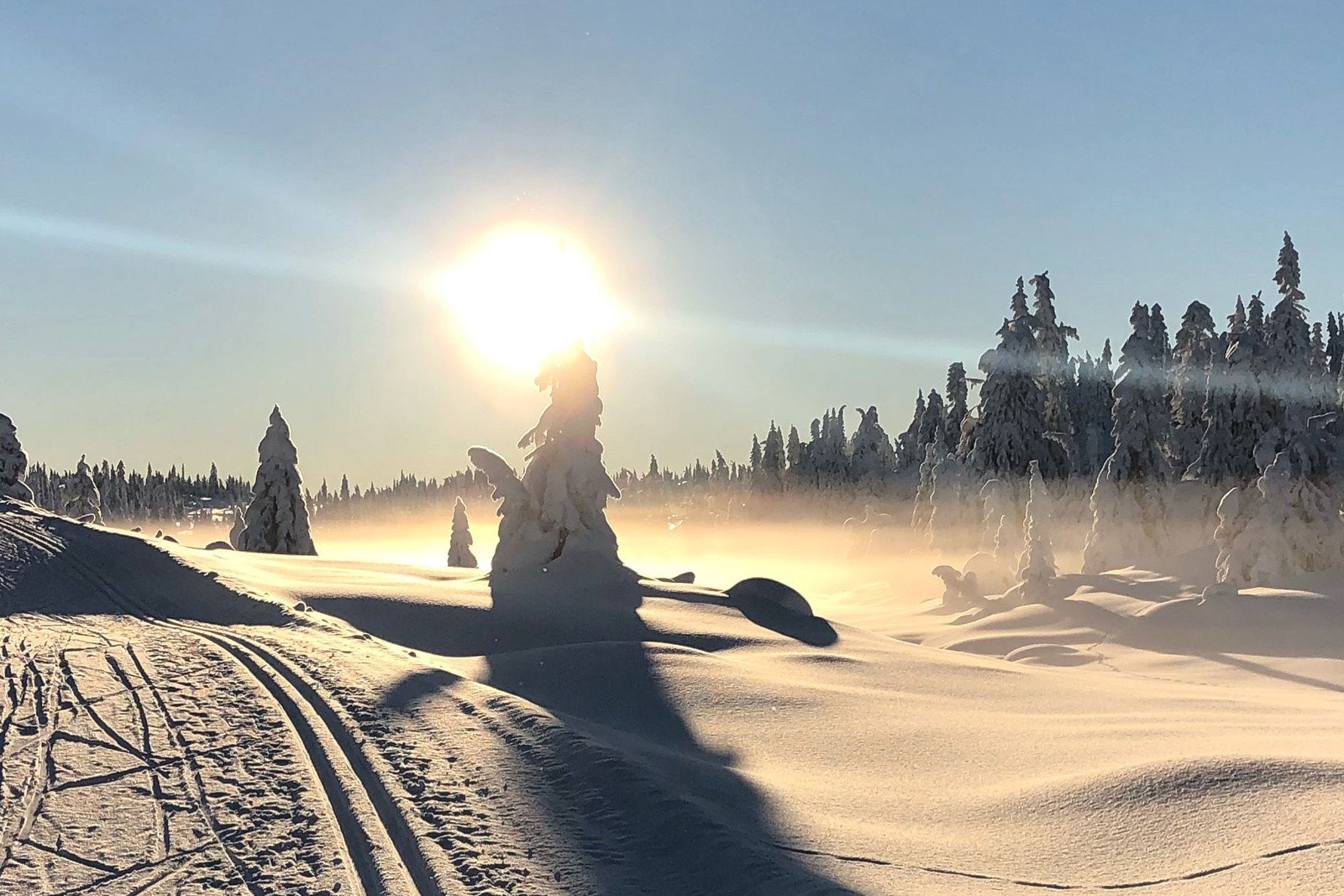 Hytten byr på flotte turmuligheter - sommer som vinter med oppkjørte skiløyper. Galleribilde