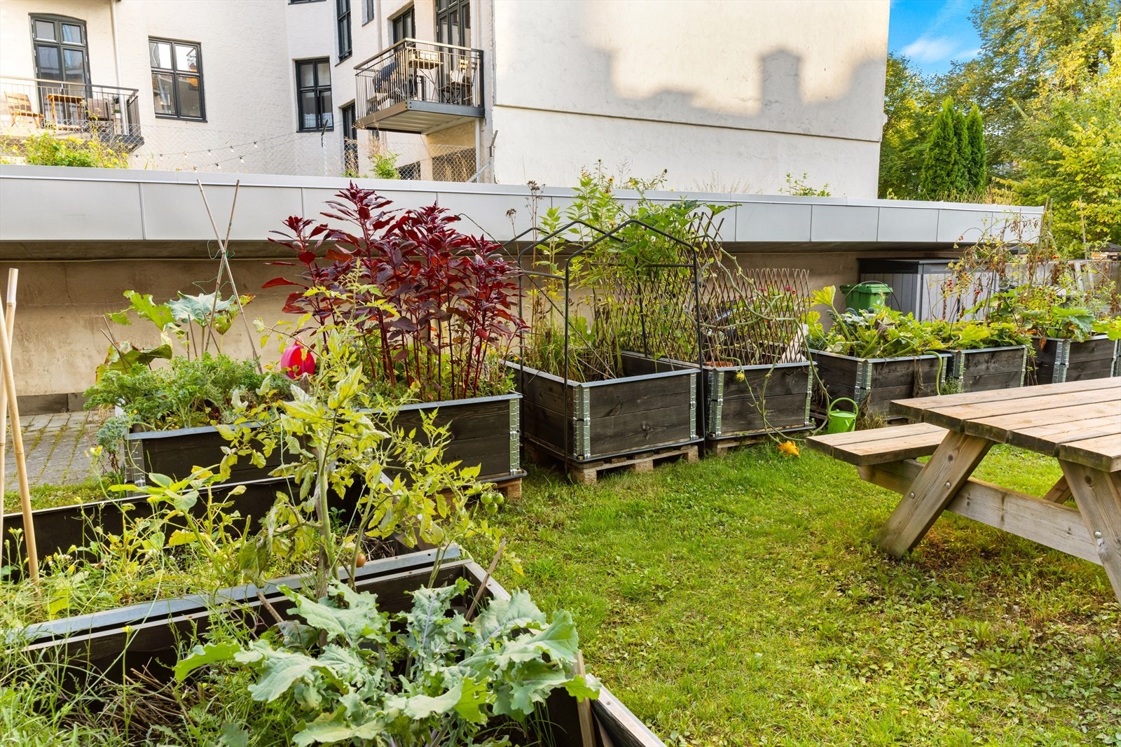 Plantekasser og sykkelparkering i borettslaget. Galleribilde