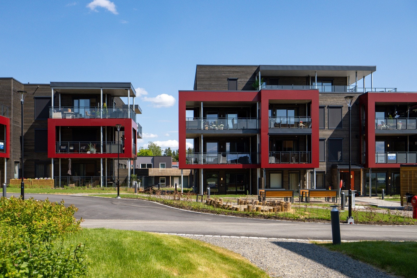 P6090219 Galleribilde