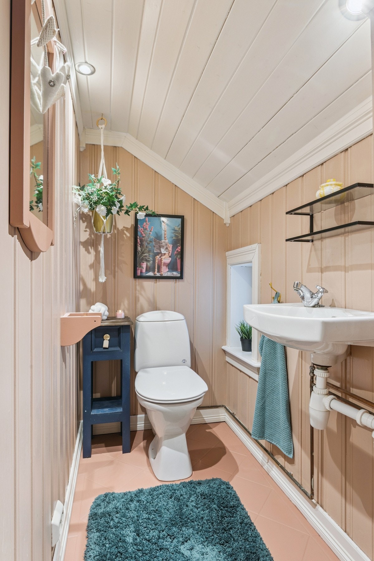 Toalett Galleribilde