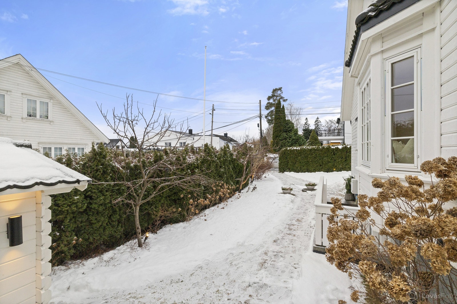 Vintergrønn hekk som gir hagen god skjerming. Gangport fra hagen ut til Hyggeveien Galleribilde