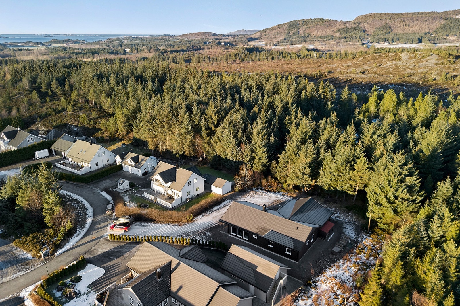 Omradebilde Galleribilde