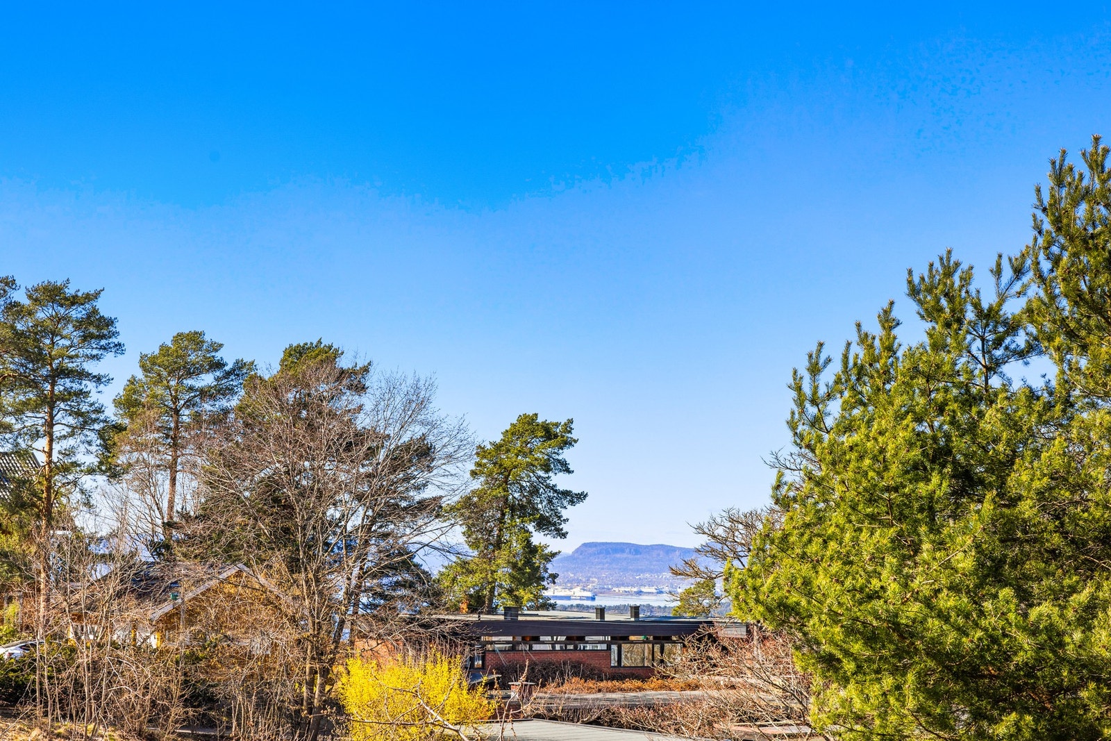 Nyt den flotte utsikten Galleribilde