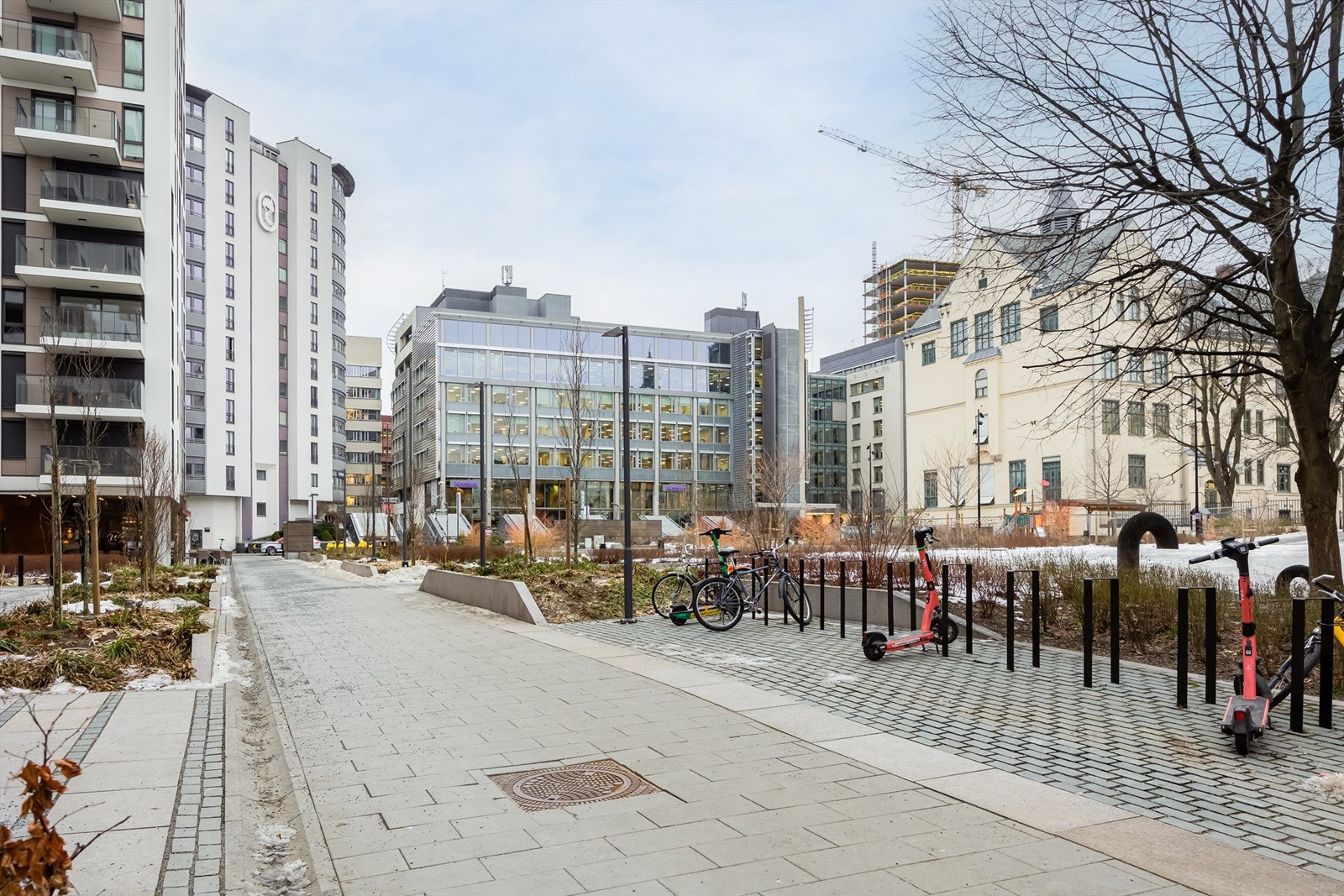 Nærområde. Galleribilde