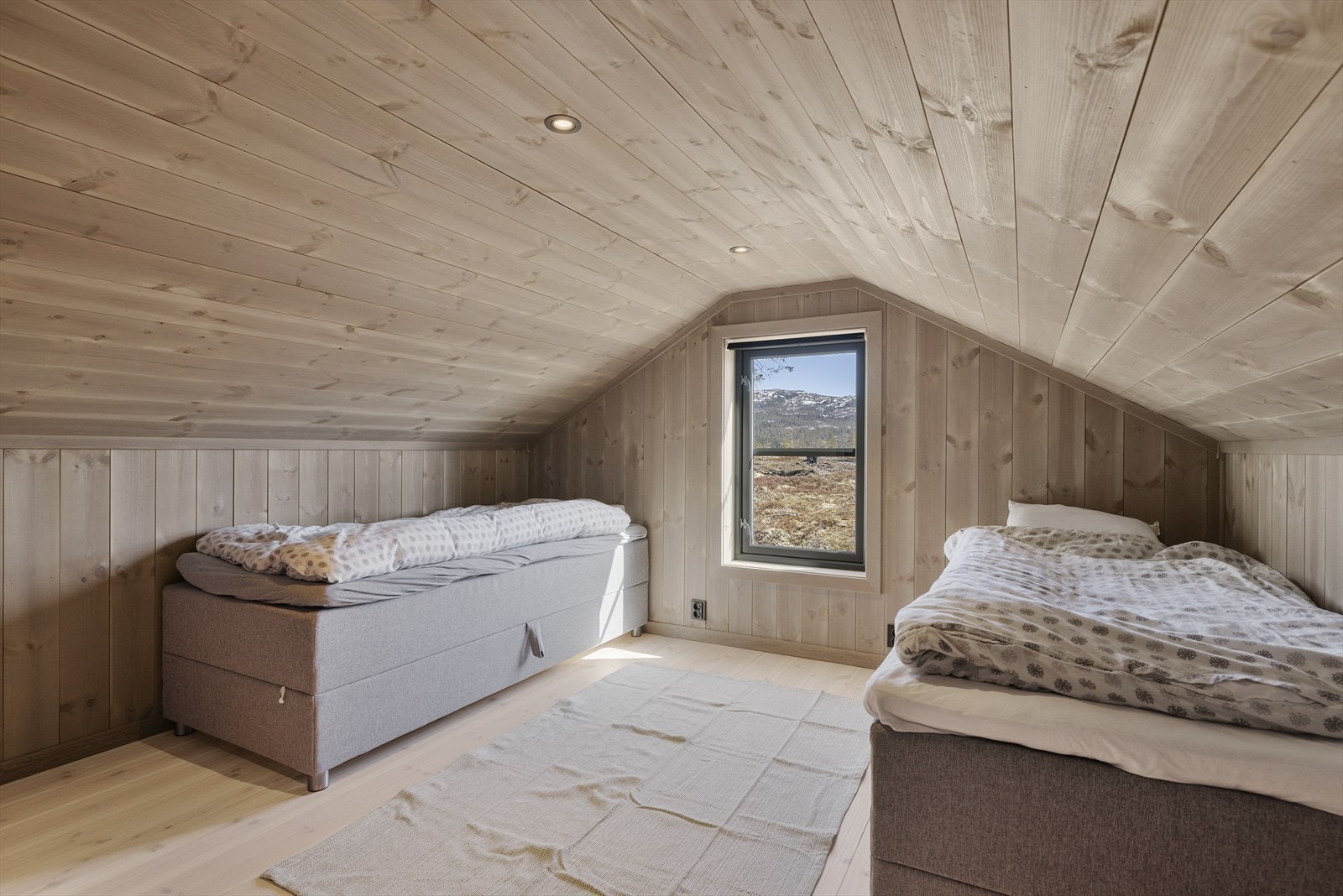 Hemsrom 1 Galleribilde