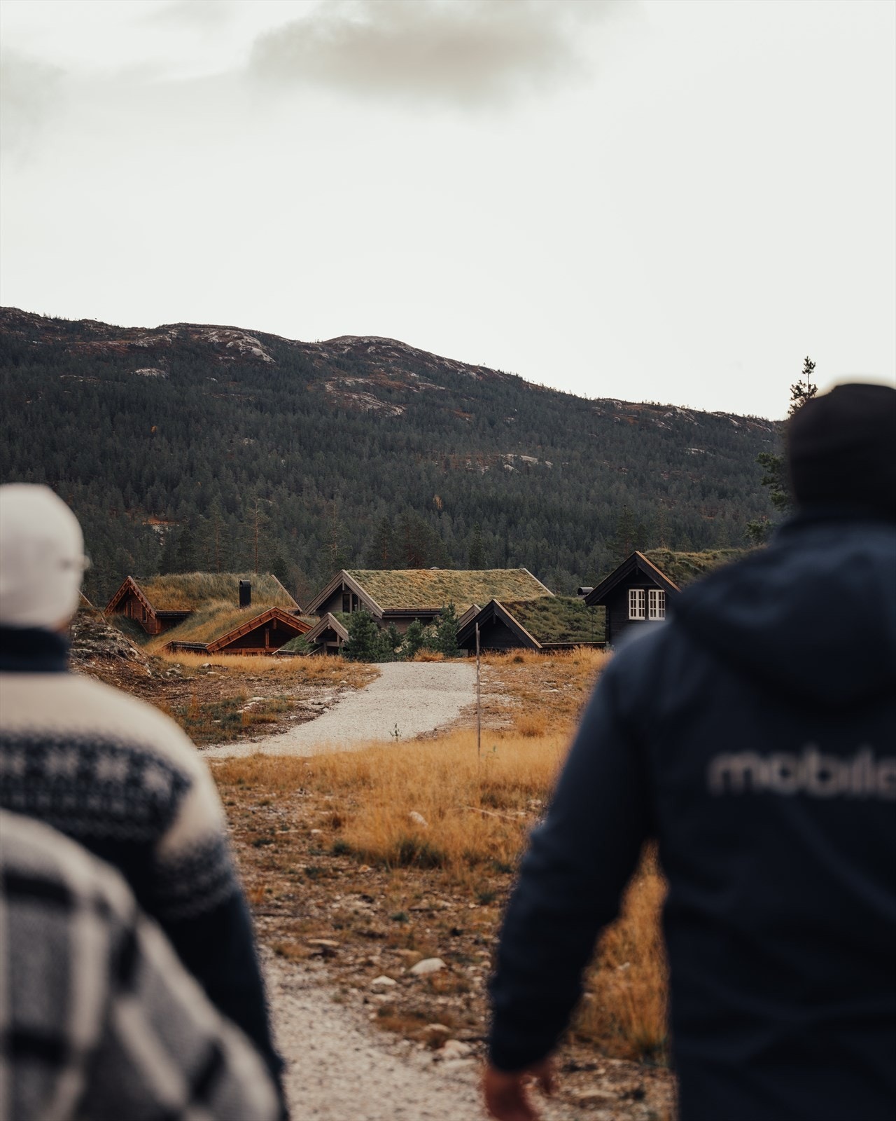 Turufjell Galleribilde