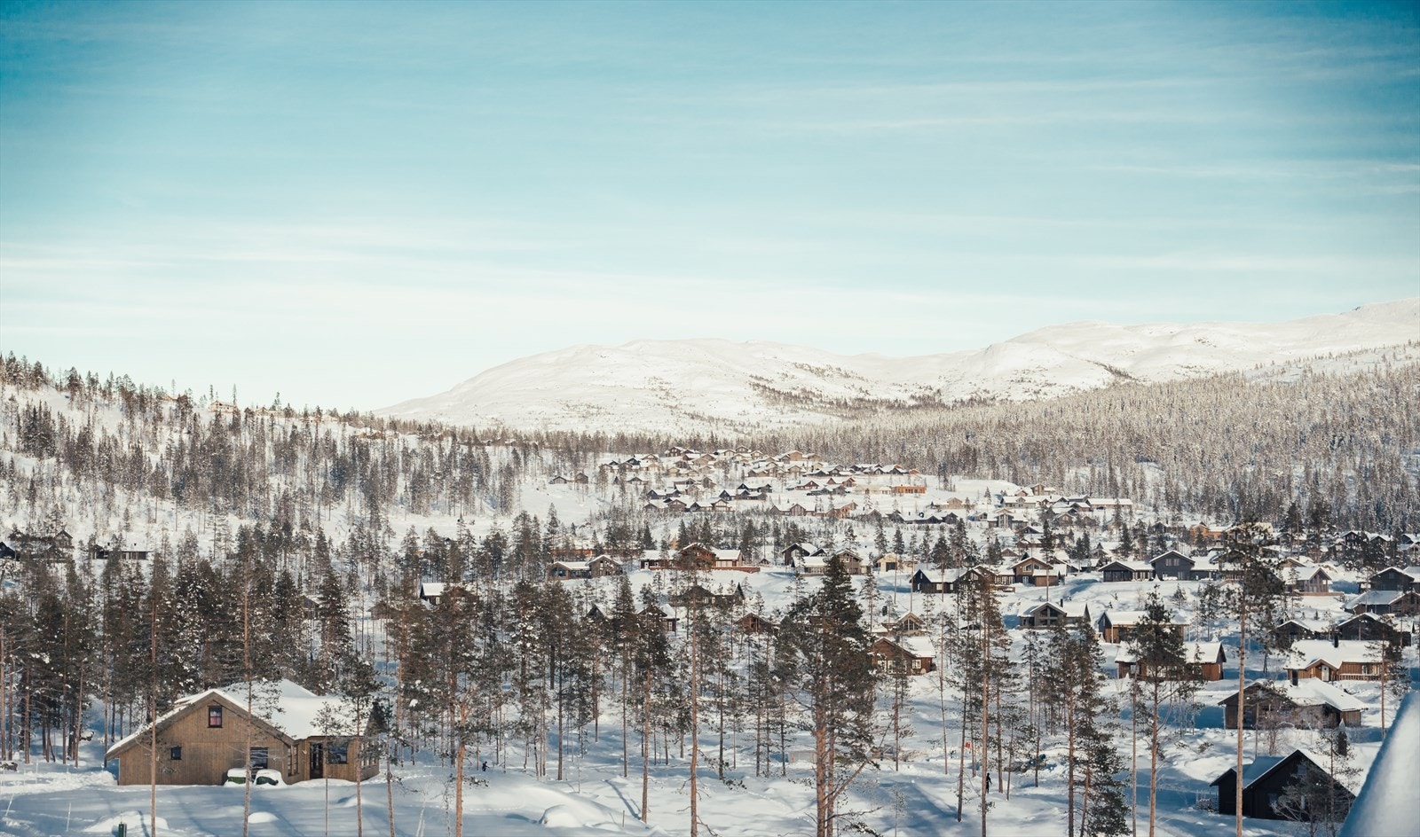 Turufjell Galleribilde