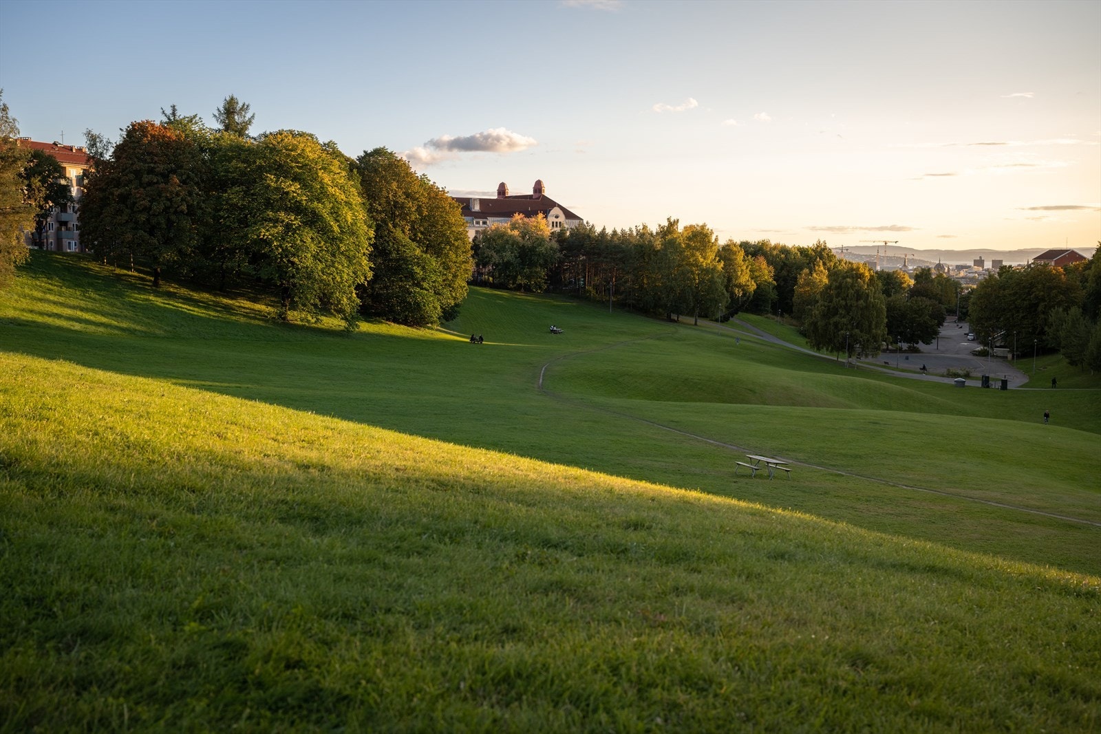Kort vei til Thorsovparken Galleribilde