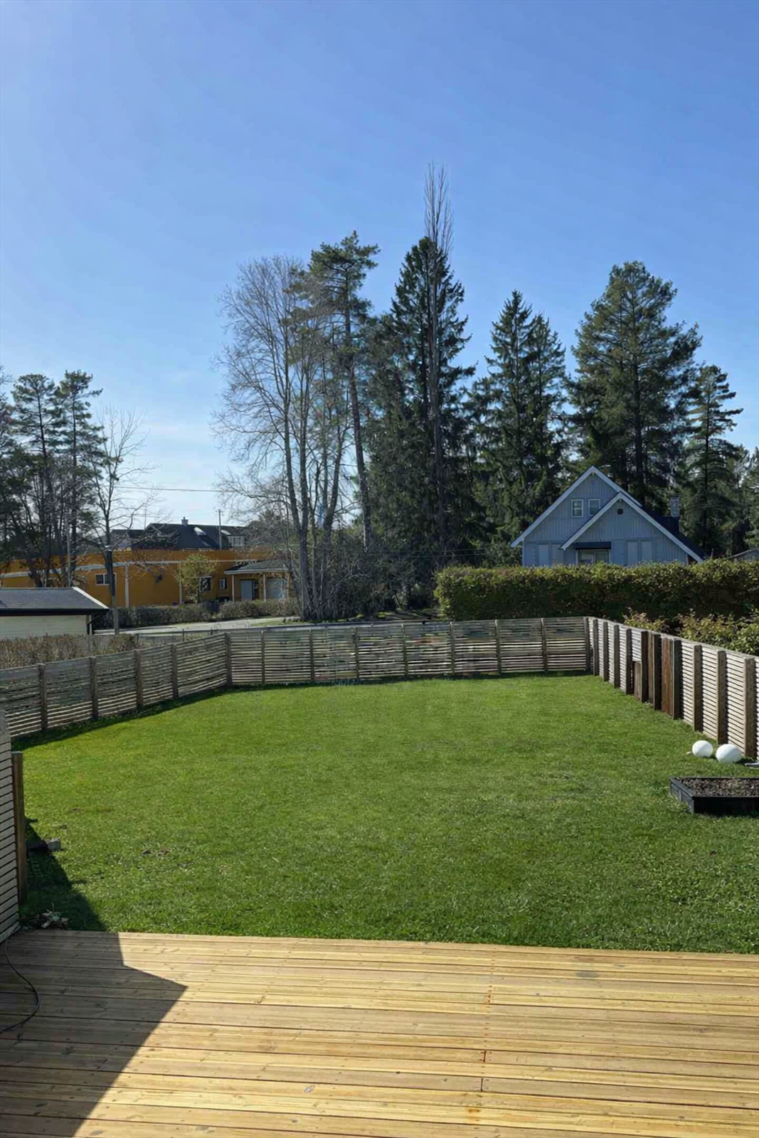 Selgers sommerbilde Galleribilde