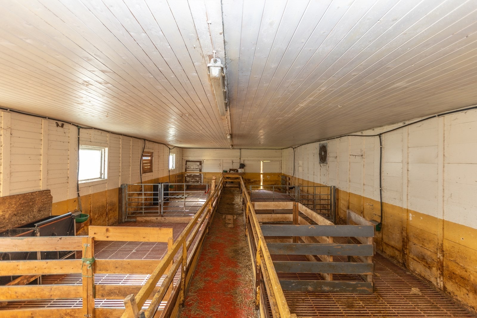 Sauhus - vedlikehold må påregnes. Galleribilde