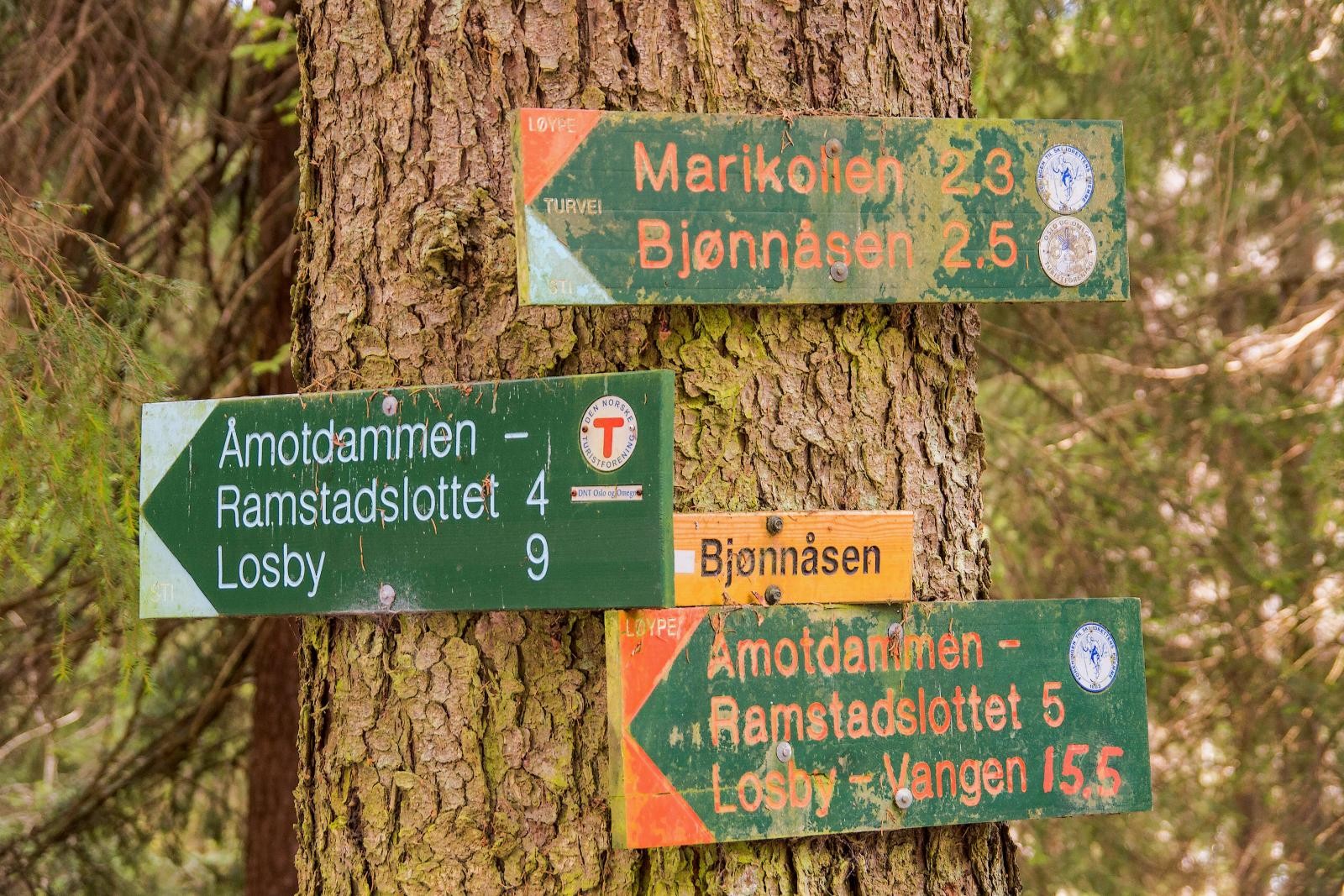 Er du glad i skog og mark er det flotte turmuligheter i umiddelbar nærhet. Galleribilde