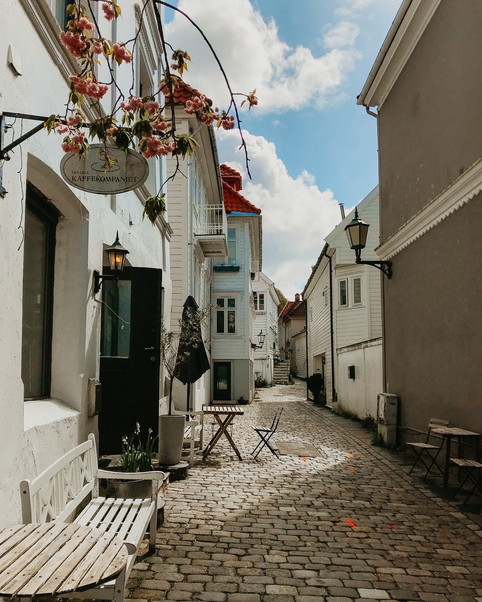 Vei inn mot boligen Galleribilde